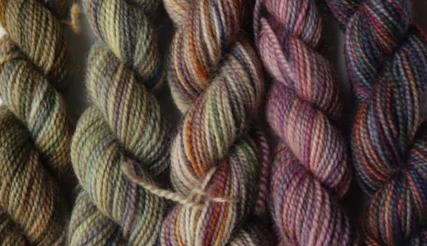 Eco Printed & Hand Painted Bluefaced Leicester 4ply Sock Yarn Mini Skein Set 110g Collection 1