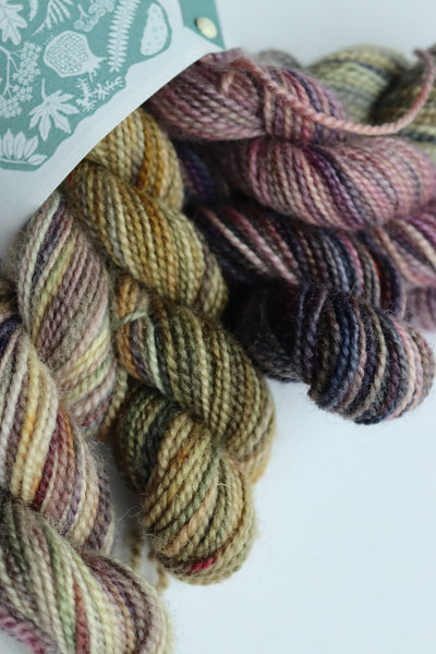 Eco Printed & Hand Painted Bluefaced Leicester 4ply Sock Yarn Mini Skein Set 110g Collection 1