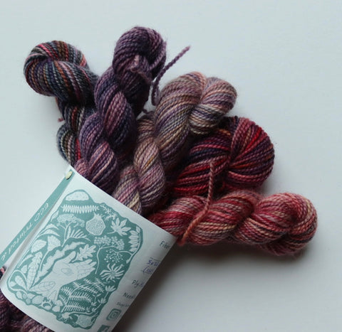 Eco Printed & Hand Painted Bluefaced Leicester 4ply Sock Yarn Mini Skein Set 110g C0llection No 3