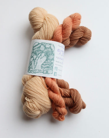 Naturally Dyed Corriedale High Twist Sock Yarn Set: 1 x 100g & 2x 20g . Col: Cafe Au Lait collection 1